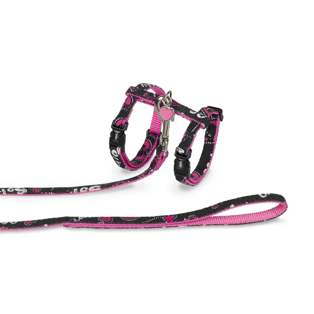 Meilleurs prix pour Laisse et harnais pour chien Nobby Pet Love