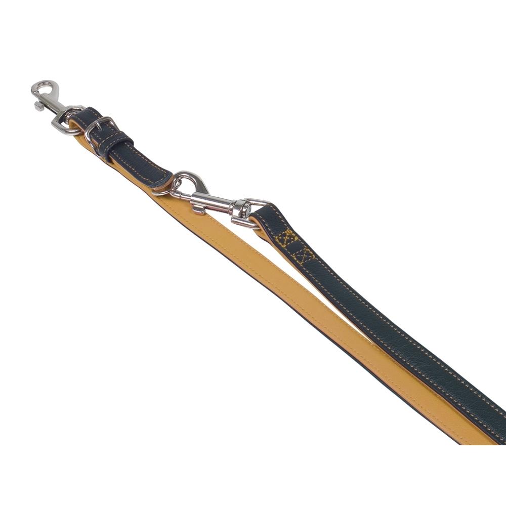 Meilleurs prix pour Laisse pour chien Nobby Pet Pacific