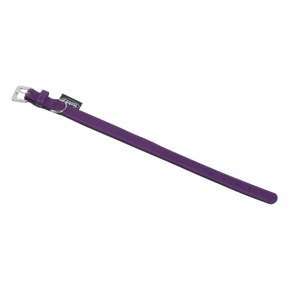 Nobby Pet Violet Dog Collar South