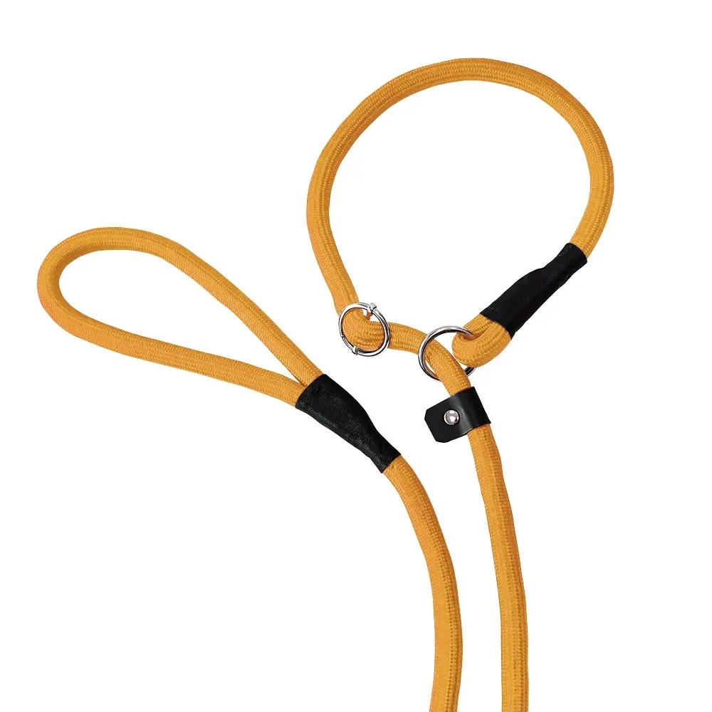 Nobby Pet Orange Retriever Dog Leash Fun Uni