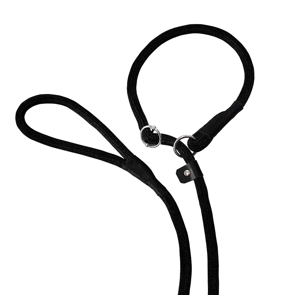 Meilleurs prix pour Laisse pour chien retriever Nobby Pet Fun Uni