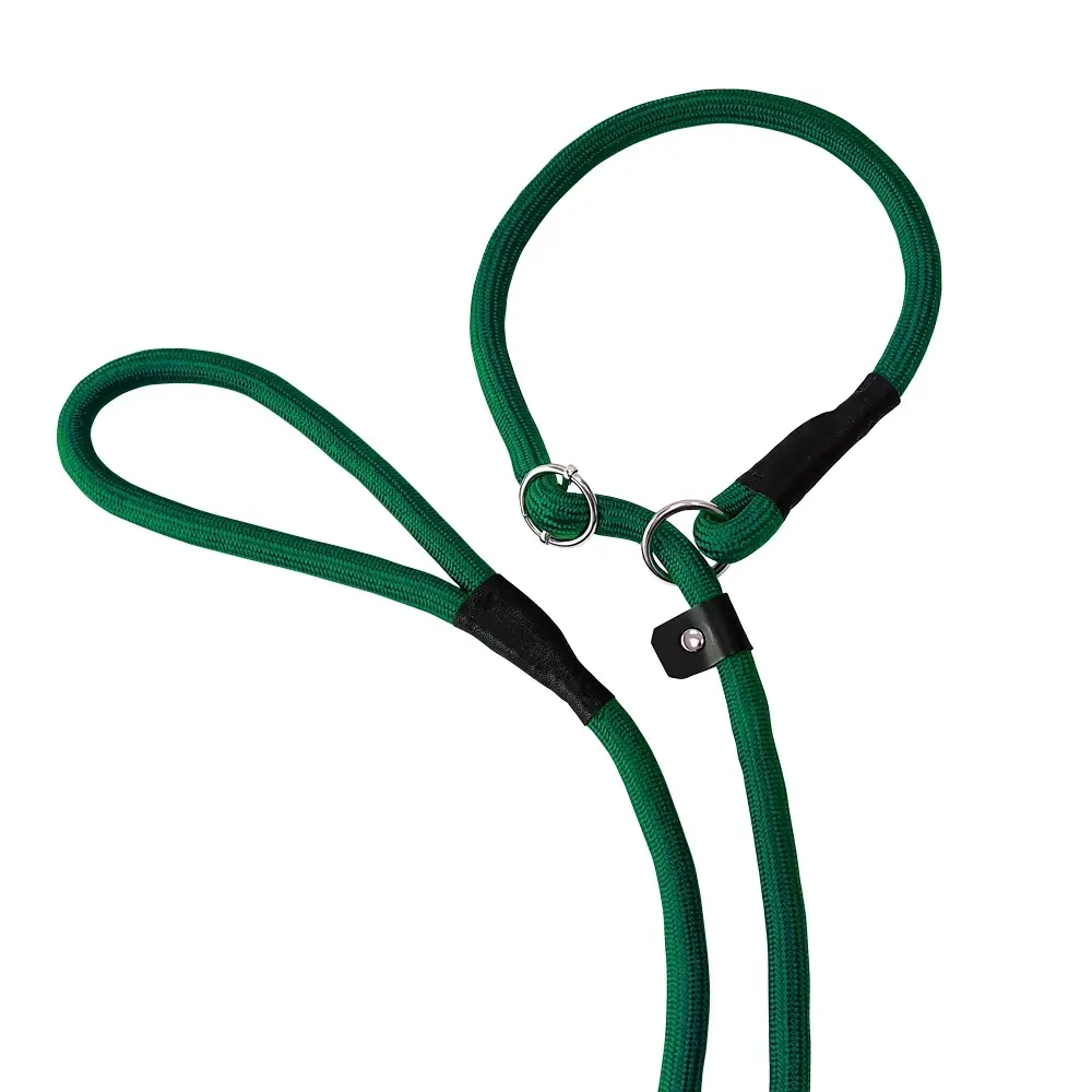 Nobby Pet Vert Retriever Dog Leash Fun Uni