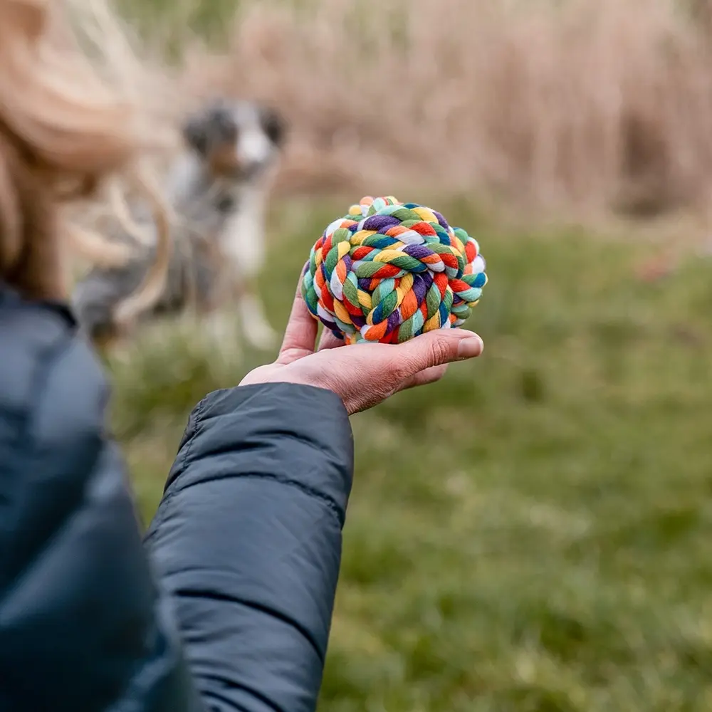 Nobby Pet Multicolore Dog Toy Ball With Ropes