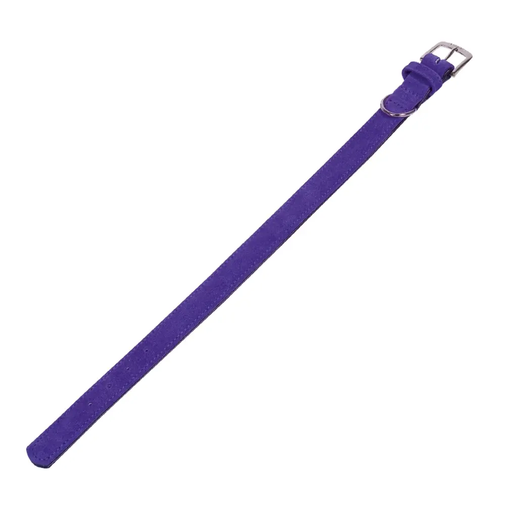 Comparer les prix de Collier pour chien Nobby Pet Velours