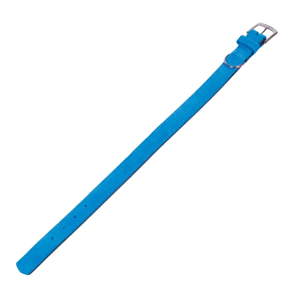Nobby Pet Turquoise Dog Collar Velours