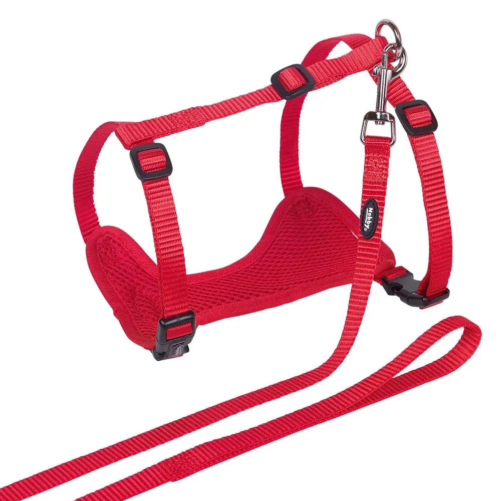 Nobby Pet Rouge Dog Leash And Harness