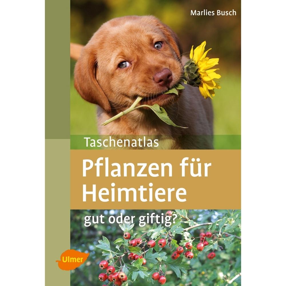 Libro Nobby Pet Pflanzen Für Heimtiere