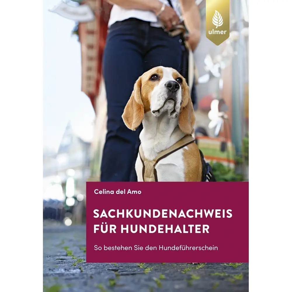 9783818616083 - Sachkundenachweis für Hundehalter - Celina Del Amo Kartoniert (TB)