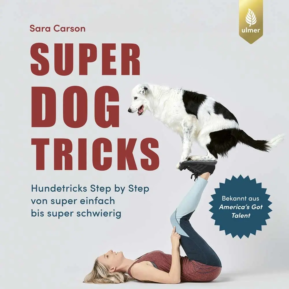 Meilleurs prix pour Livre Nobby Pet Super Dog Tricks