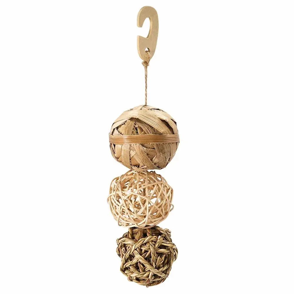 Meilleurs prix pour Balle jouet Nobby Pet