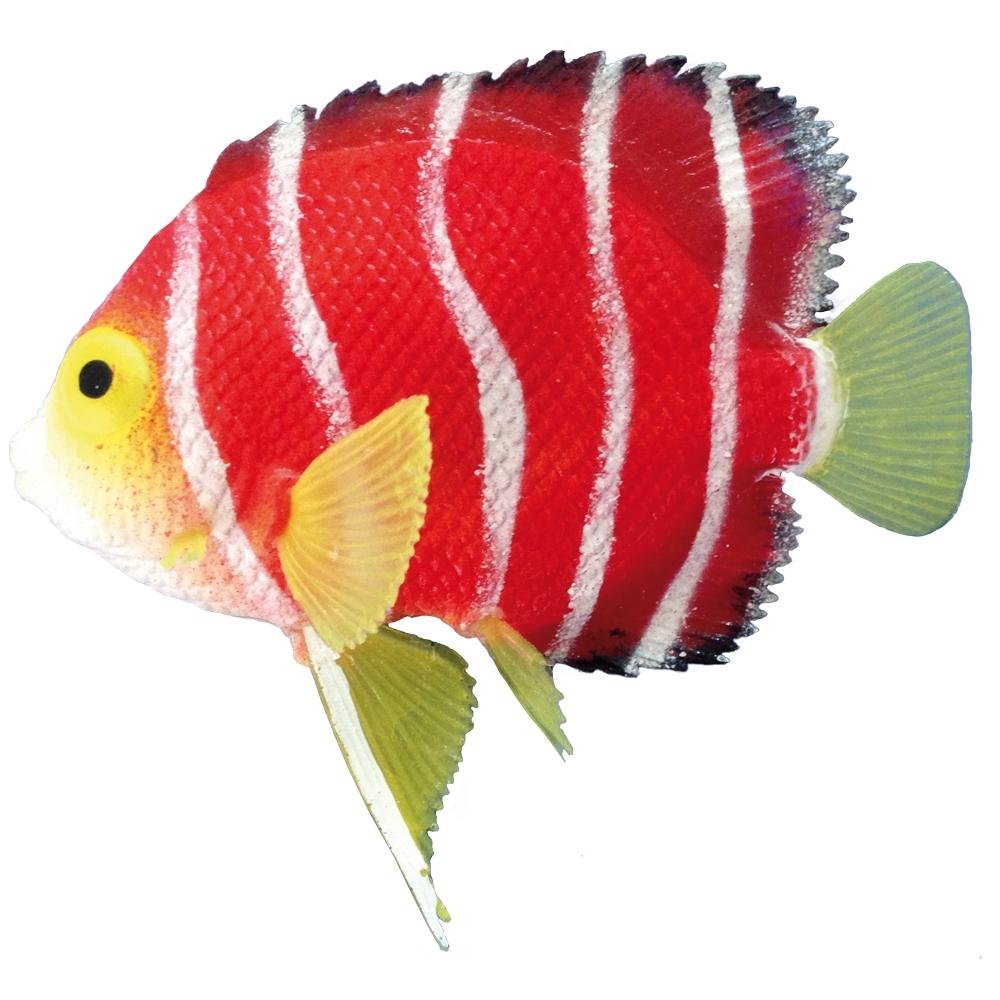 Comparer les prix de Décorations d’aquarium fantaisie centropyge Nobby Pet