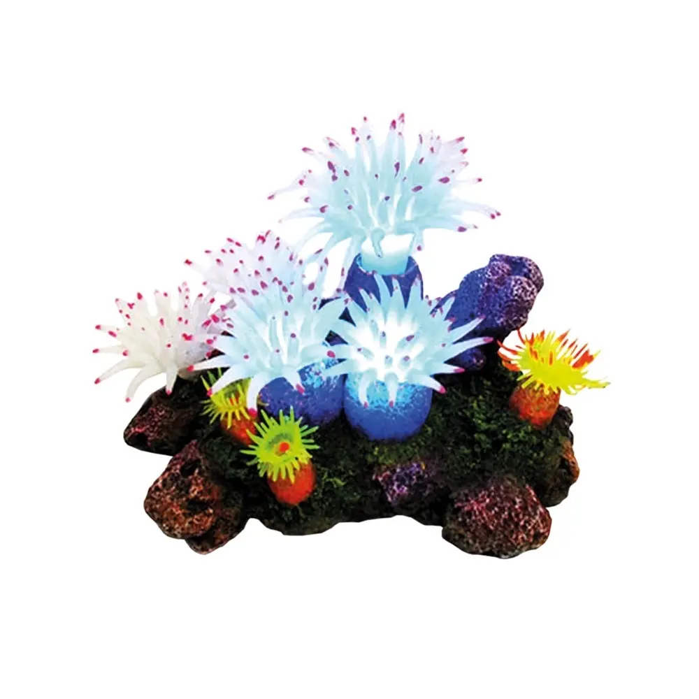 Meilleurs prix pour Décoration d'aquarium anemone avec LED Nobby Pet