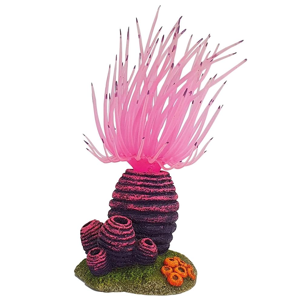 Comparer les prix de Décoration d'aquarium anemone Nobby Pet