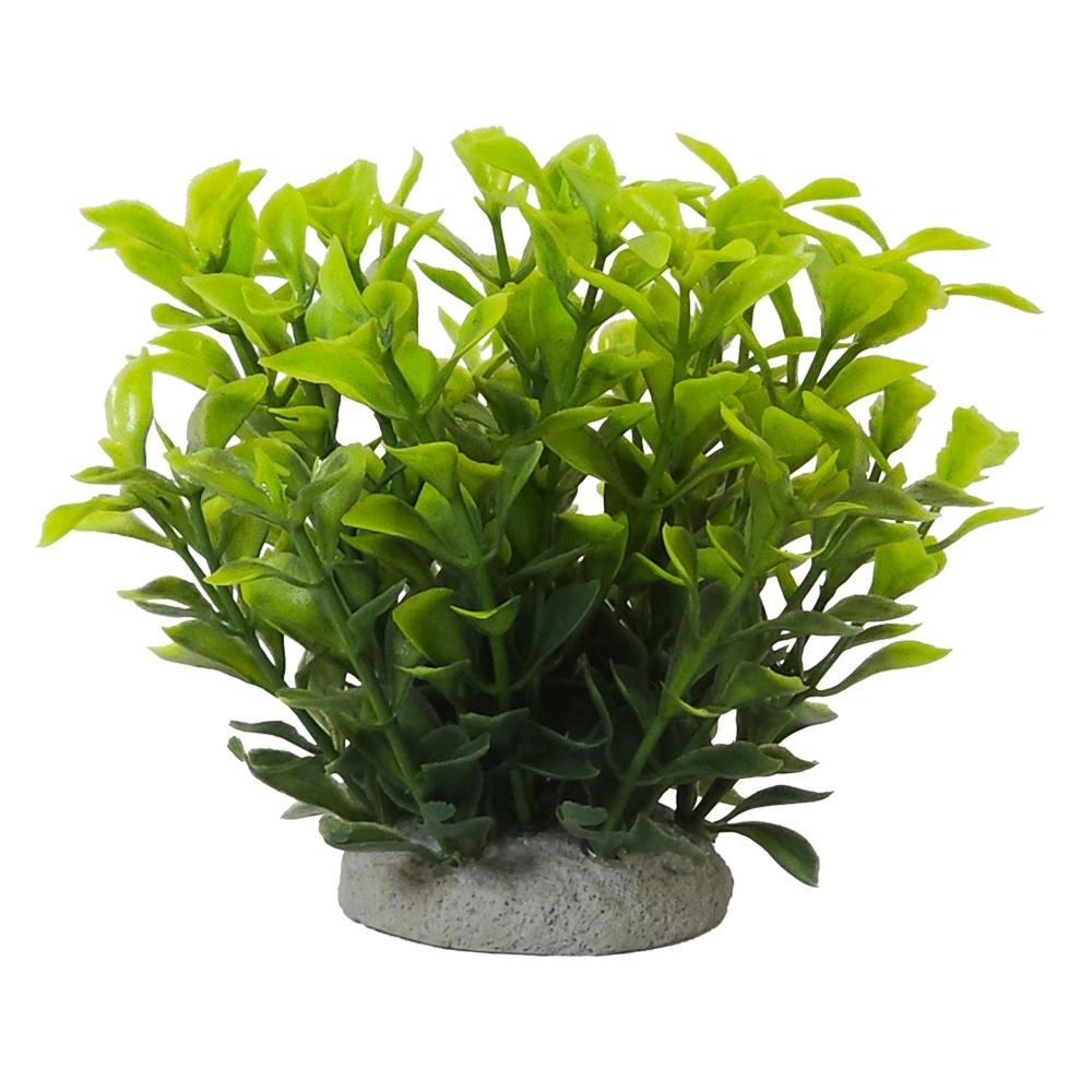 4033766287671 - Aquariumdekoration Ludwigia Green