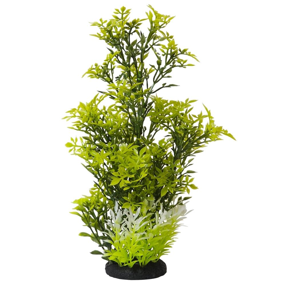 4033766287718 - Aquariumdekoration Rotala