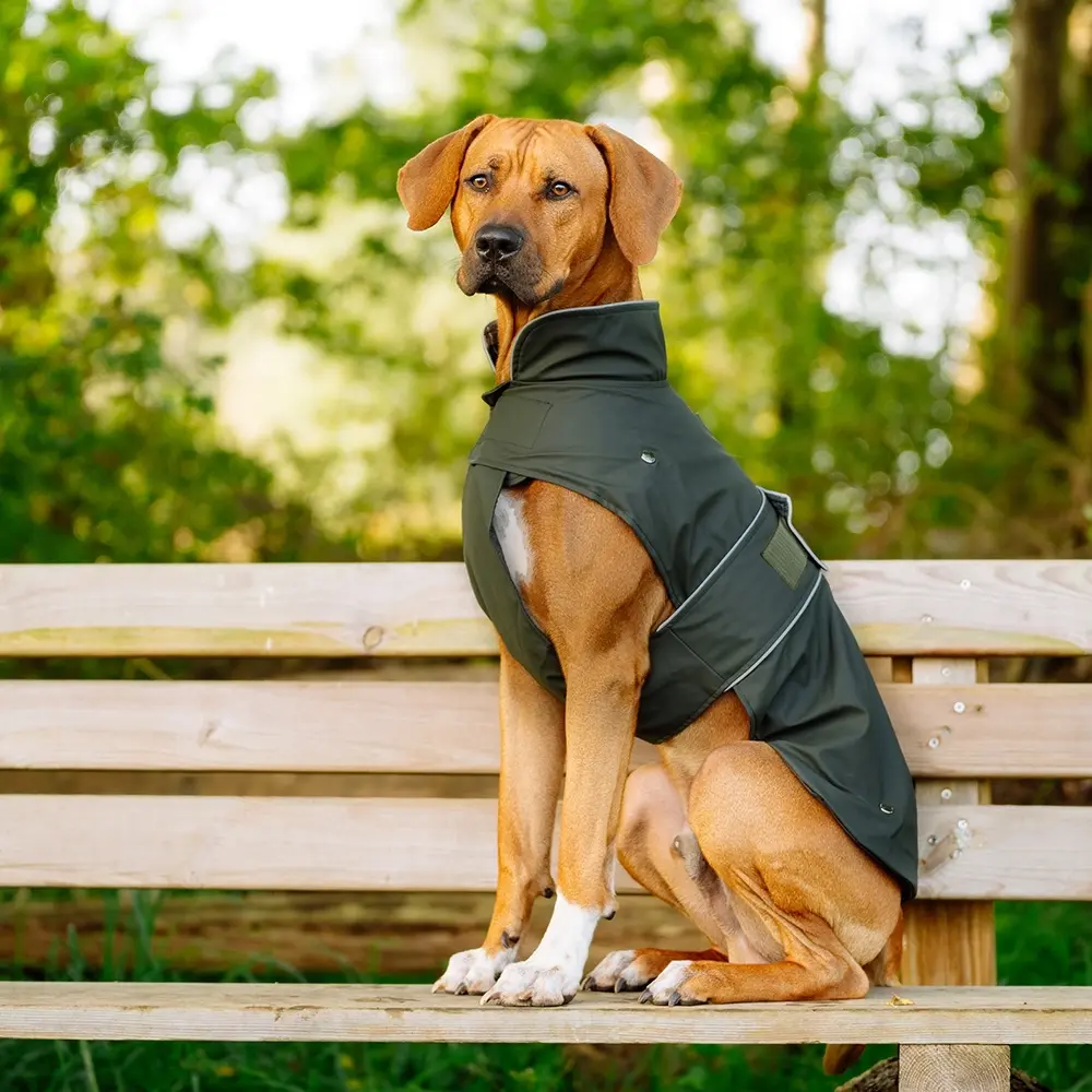 Meilleurs prix pour Manteau pour chien Nobby Pet Sela