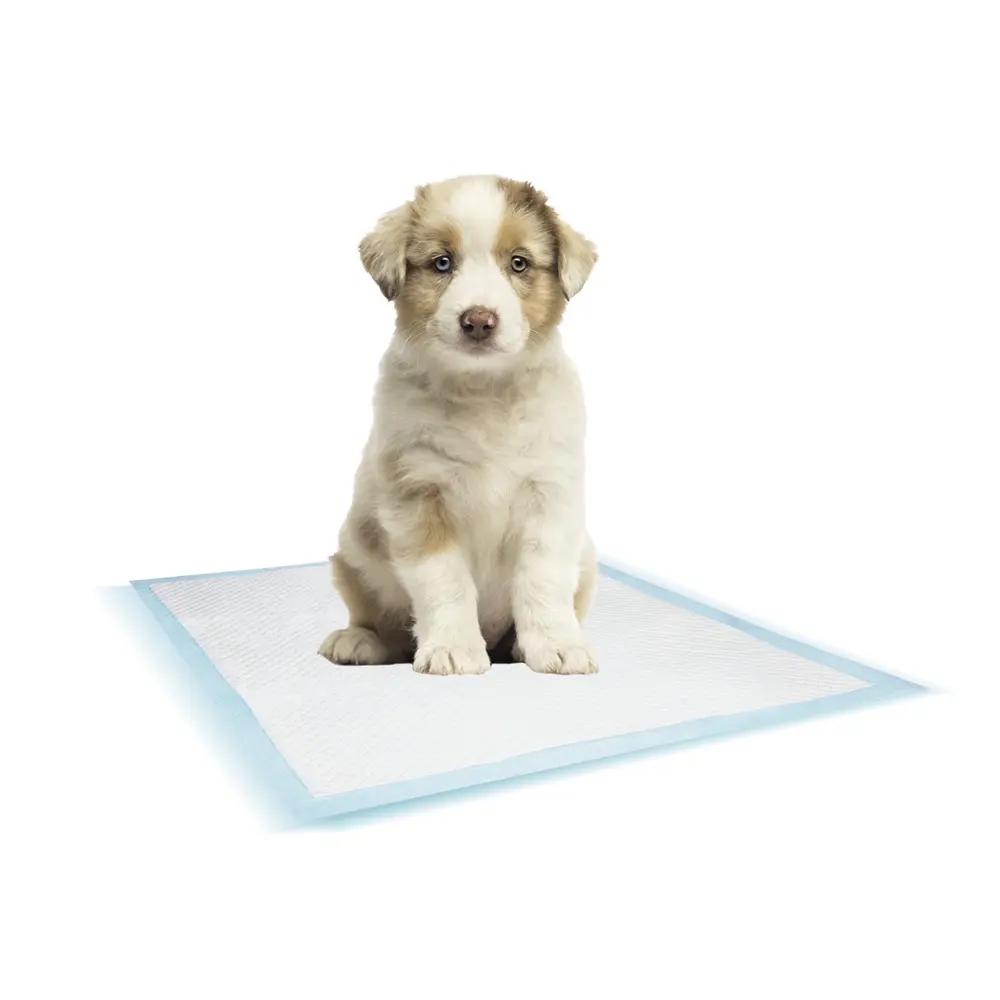 Comparer les prix de Tapis d'entraînement pour chien Nobby Pet (x10)