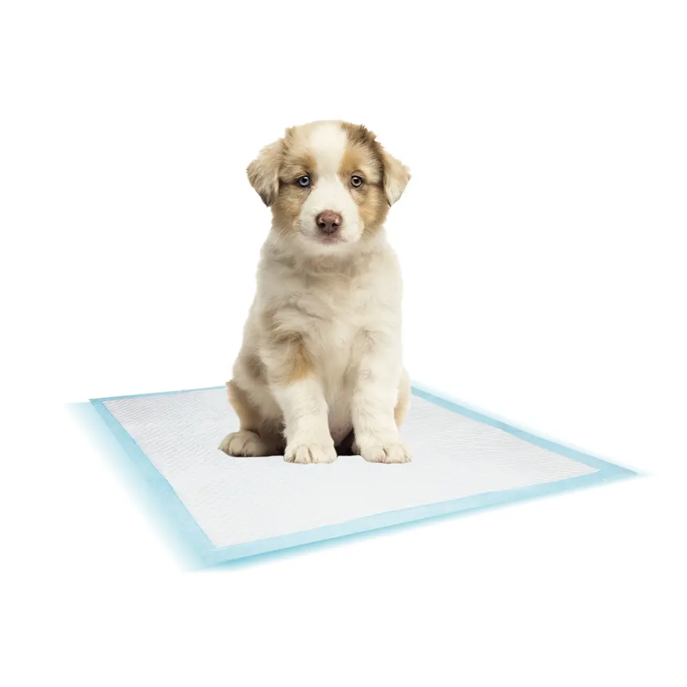 Nobby Pet Bleu Training Mat For Dogs (X50)