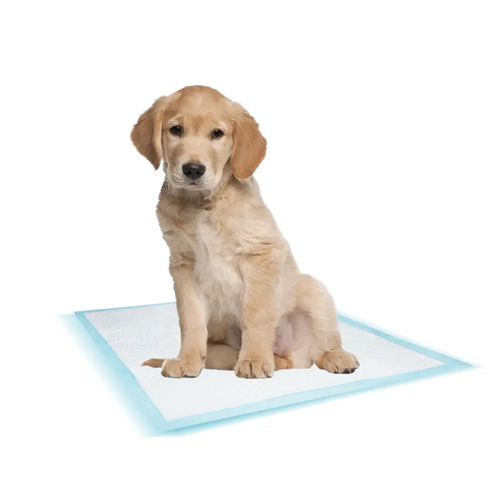 Nobby Pet Bleu Training Mat For Dogs (X10)