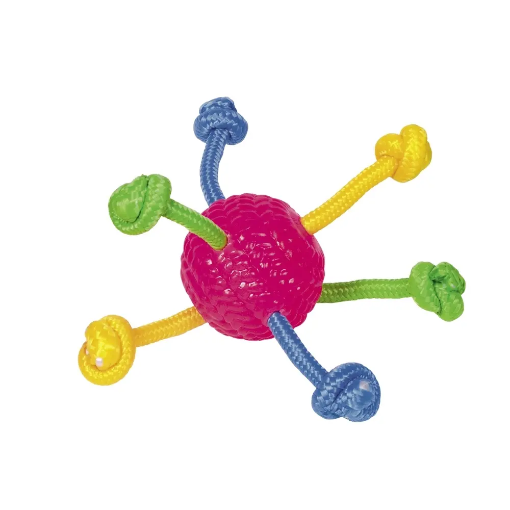 Meilleurs prix pour Balle pour chien TPR avec corde Nobby Pet