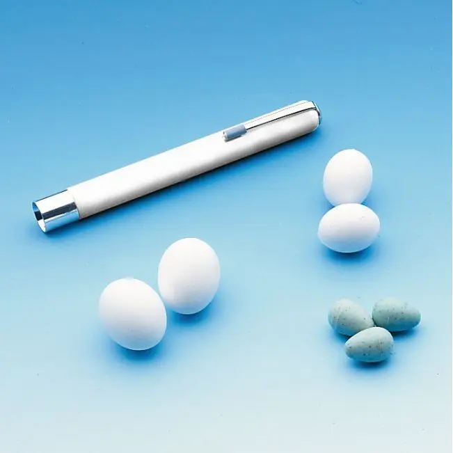 Oeufs de nidification pour grande perruche Nobby Pet (x50)