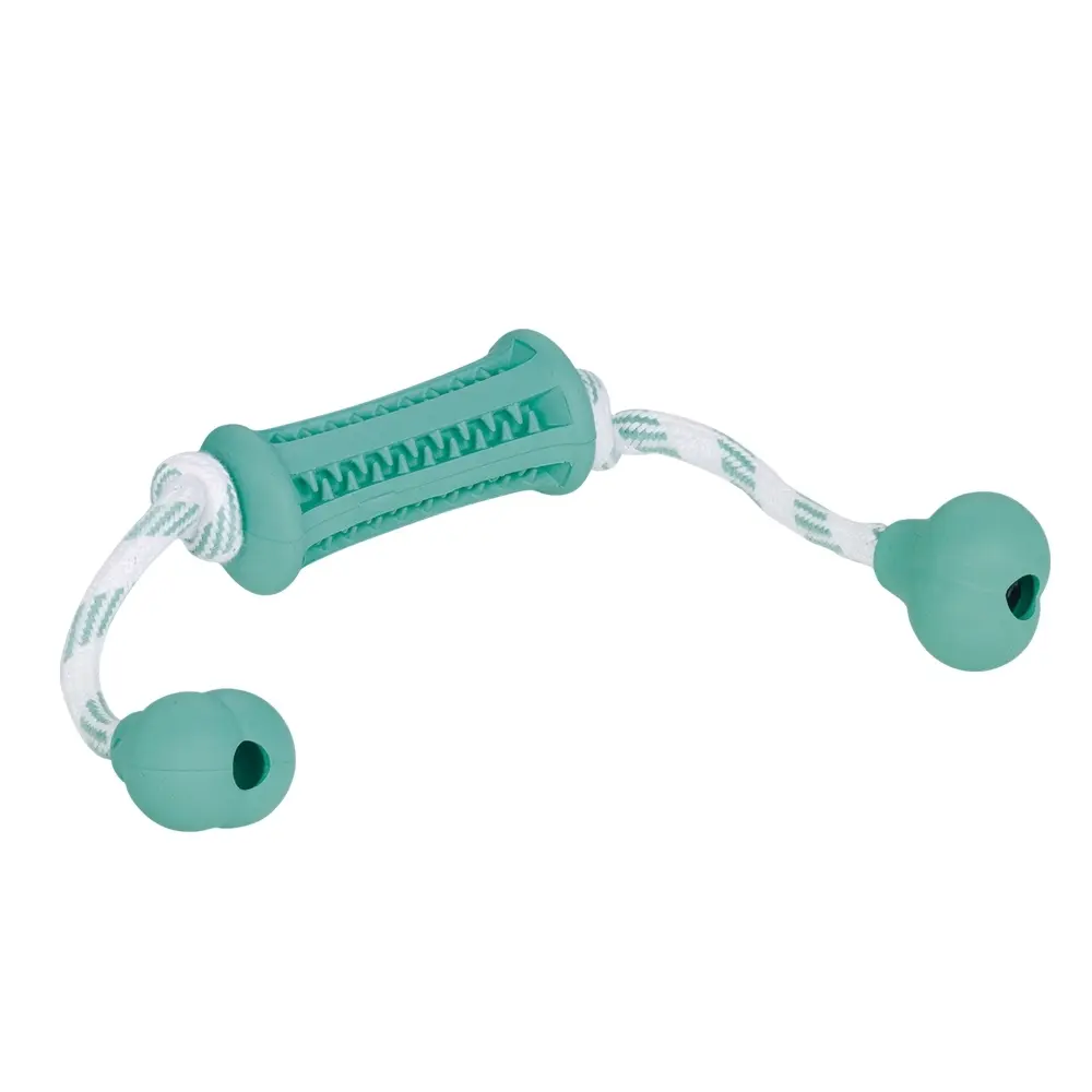 Nobby Pet Turquoise Dog Toy Stick With Rubber Cord Dental Line