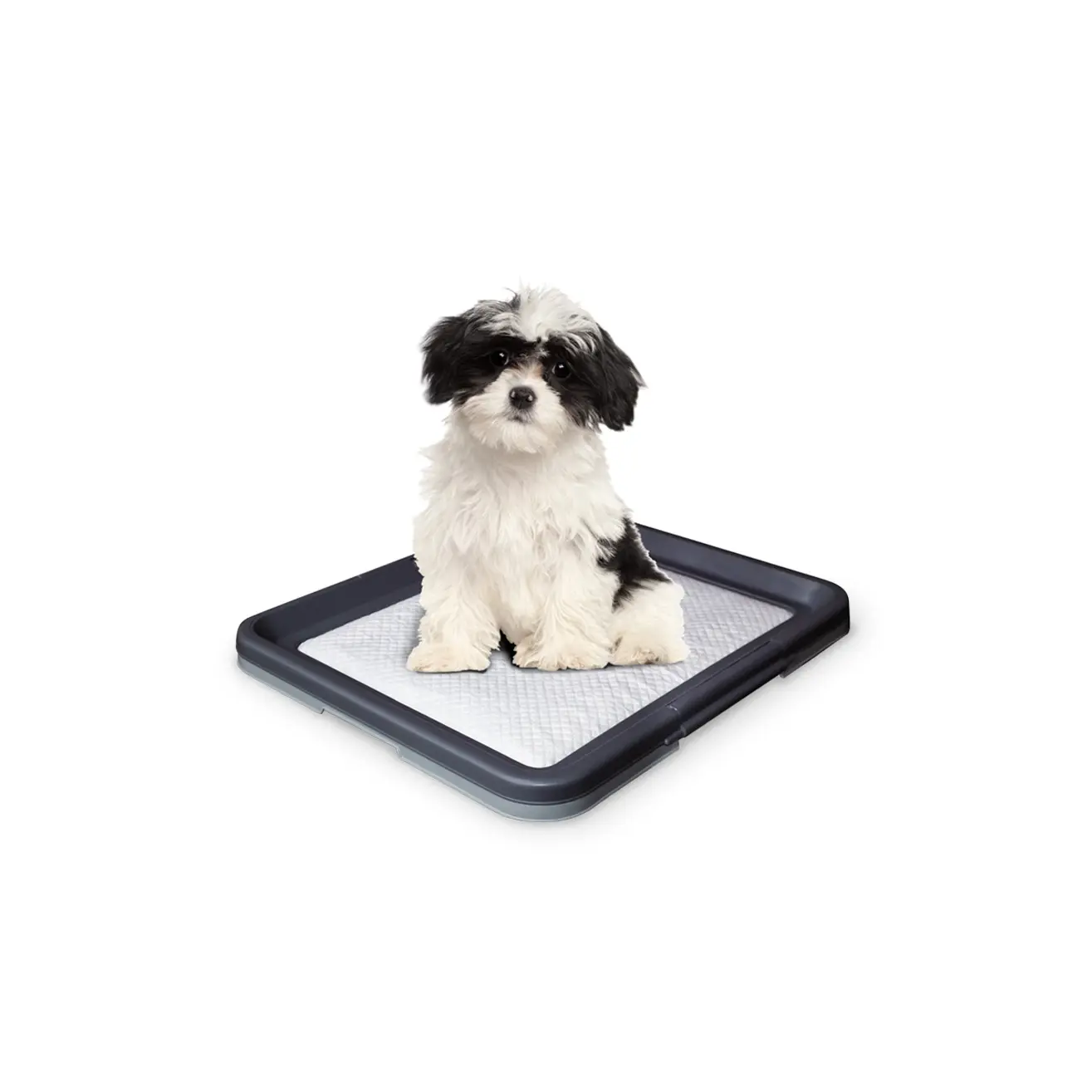 Meilleurs prix pour Tapis pour chien Nobby Pet