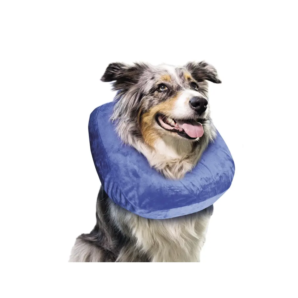 Nobby Pet Bleu Protective Collar For Medium Dogs