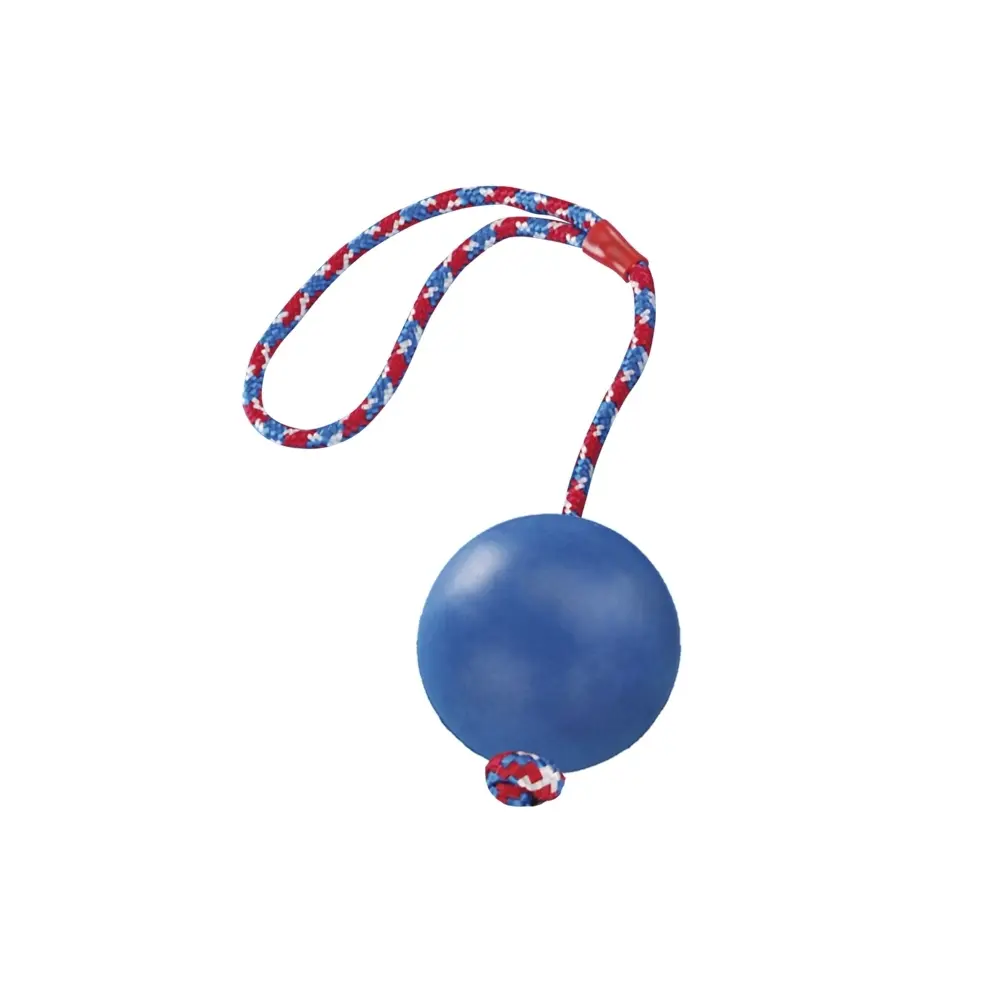 Comparer les prix de Balle en caoutchouc avec corde pour chien Nobby Pet