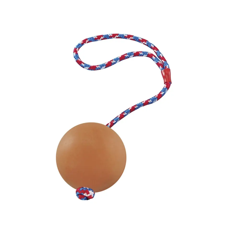 Nobby Pet Multicolore Rubber Ball With Rope For Dogs