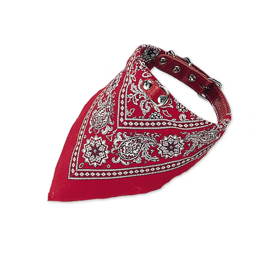 Meilleurs prix pour Collier pour chien avec bandana Nobby Pet