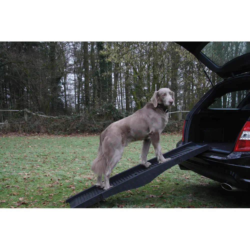 Nobby Pet Noir Dog Ramp
