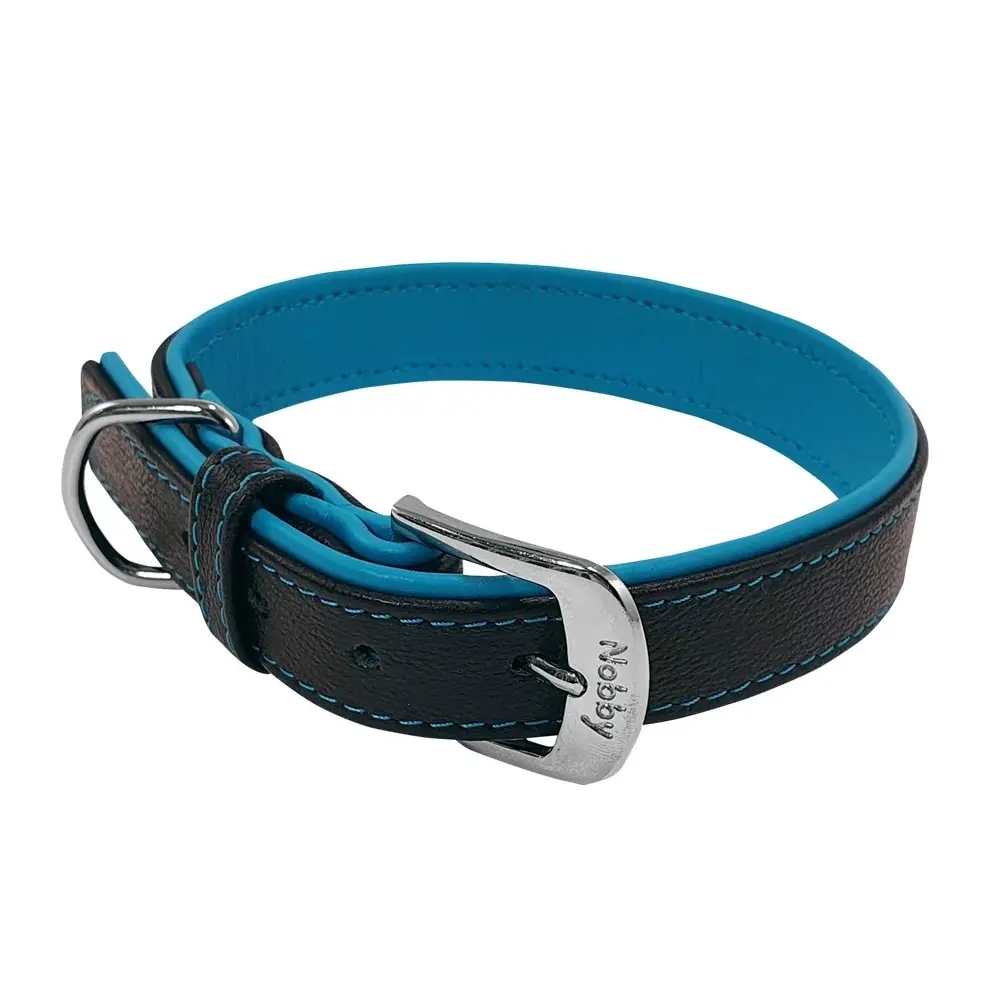 Nobby Pet Turquoise Dog Collar Pacific