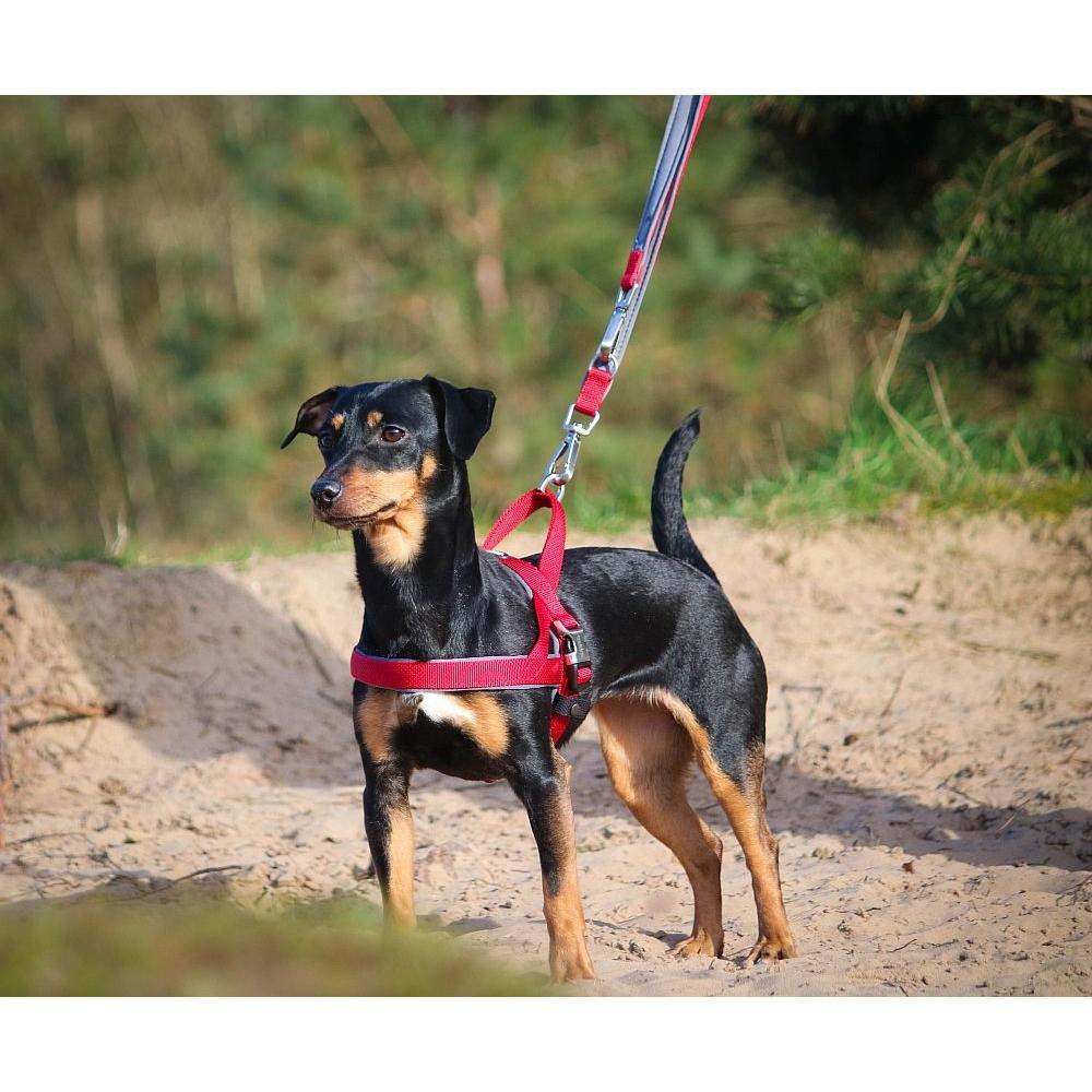 product/n/o/nobby-pet_80639-01_1.jpg
