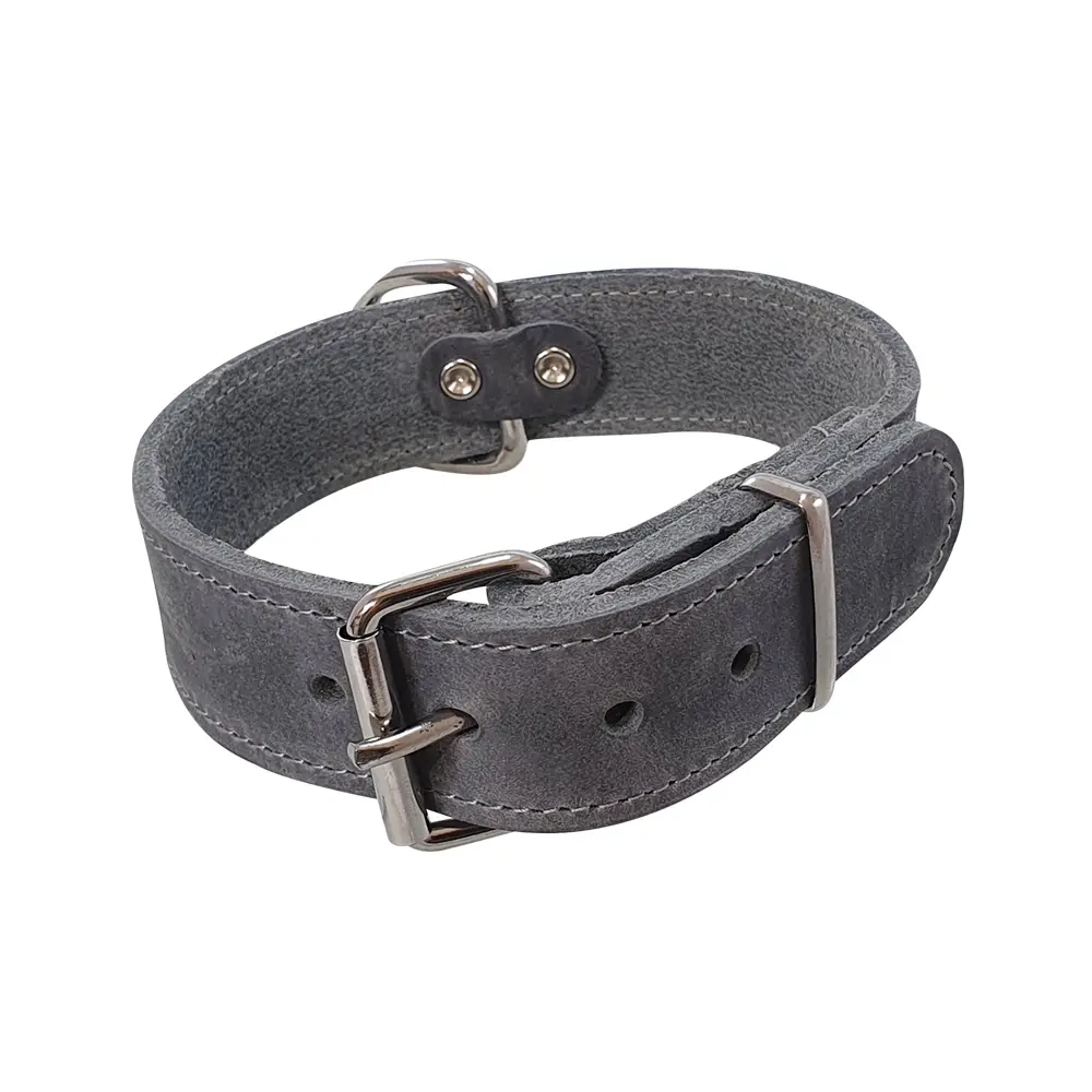 Nobby Pet Gris Extra Large Dog Collar Tabil