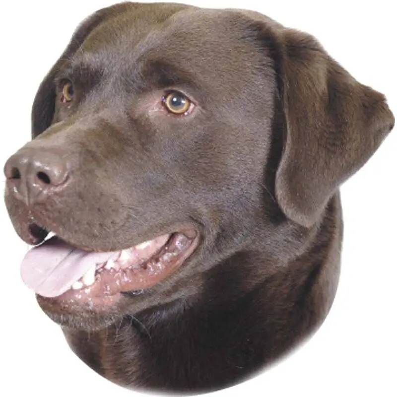 Nobby Pet Marron Sticker Labrador