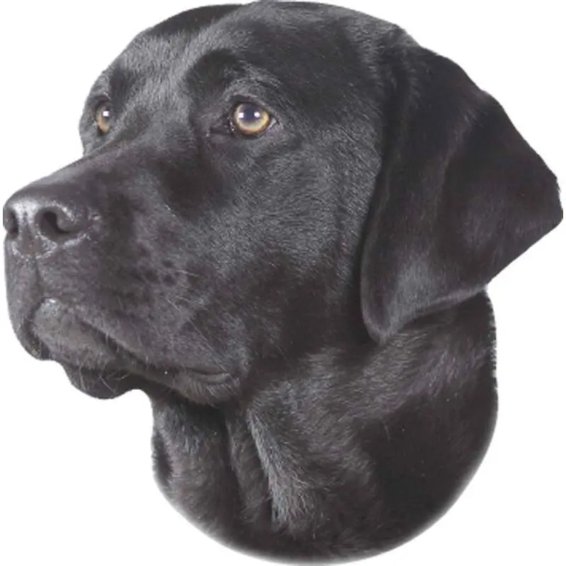 Autocollant Nobby Pet Labrador