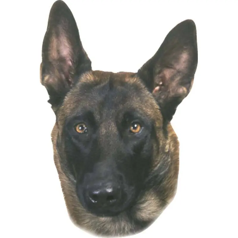 Meilleurs prix pour Autocollant Nobby Pet Malinois