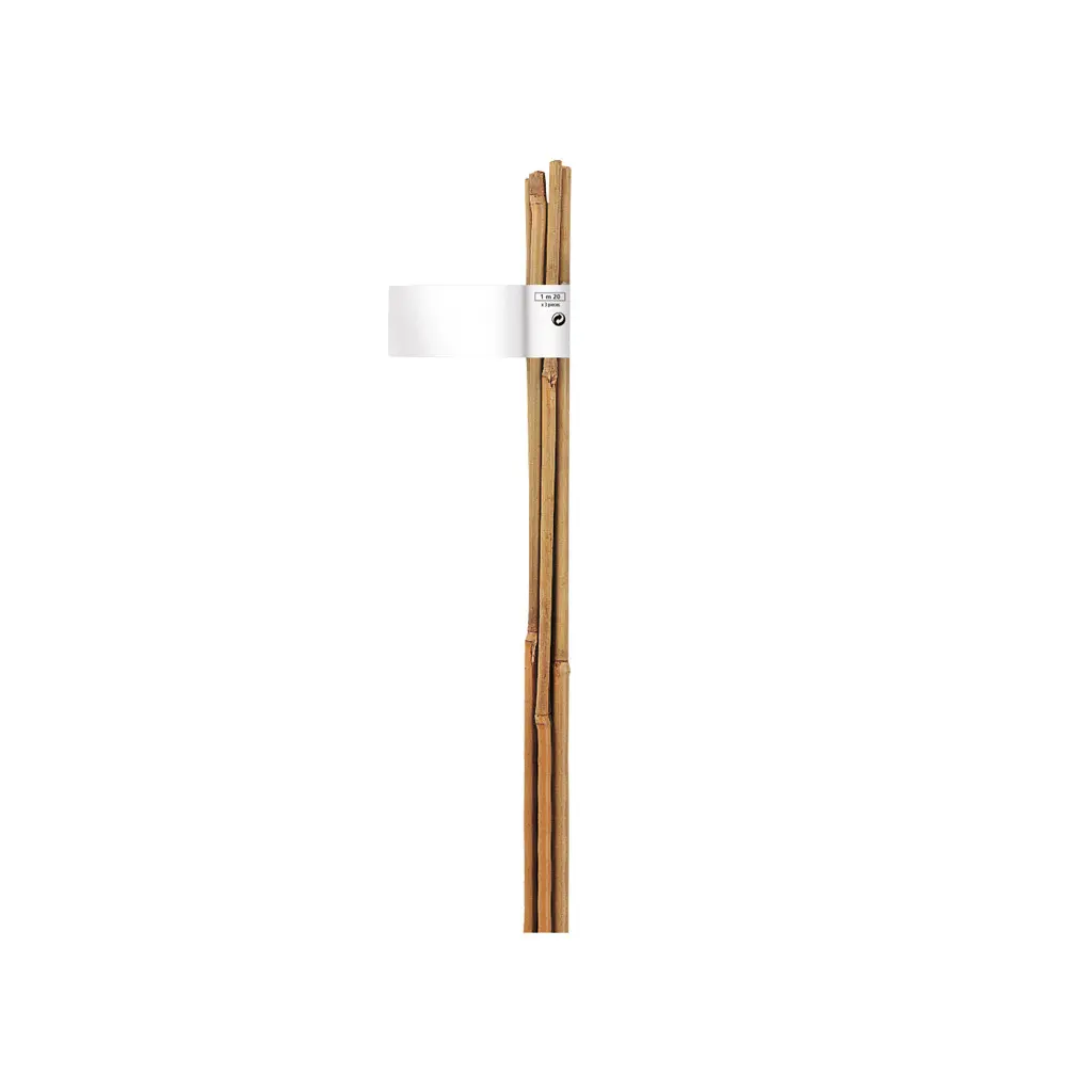 Meilleurs prix pour Tuteur pour plante bambou naturel gencodé Nortene (x4)