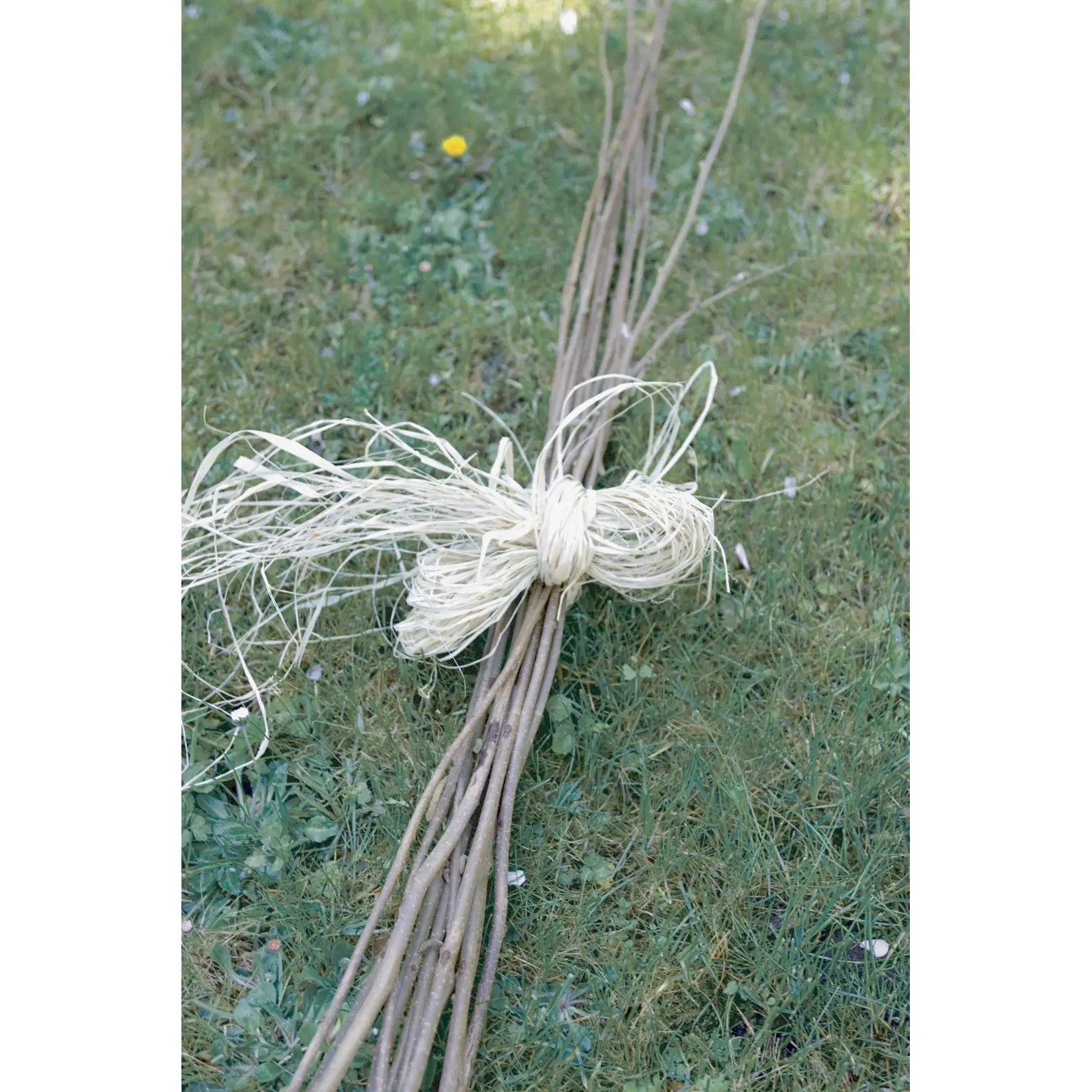 Meilleurs prix pour Fil rafia naturel Nortene