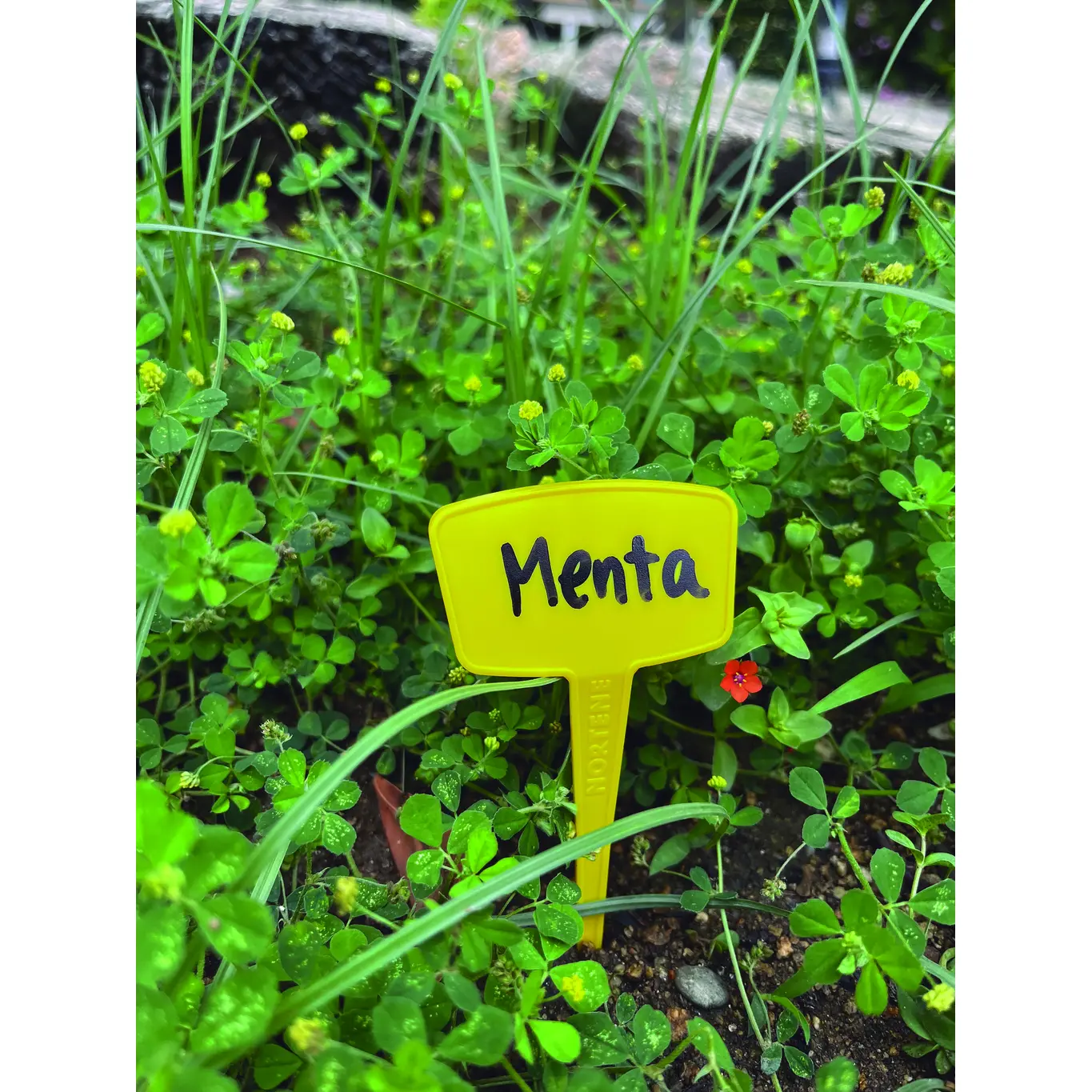 Meilleurs prix pour Etiquettes à planter Nortene Label (x10)