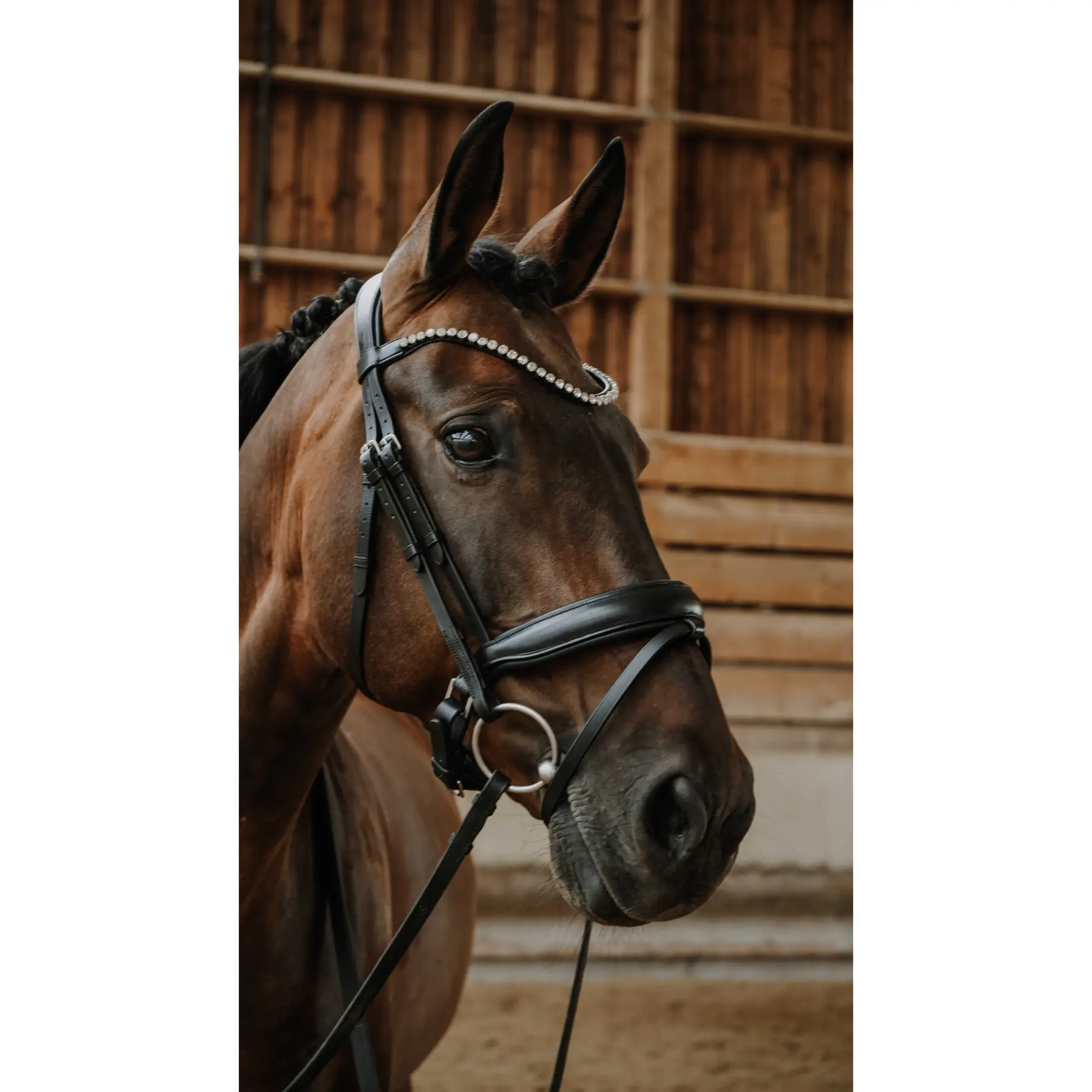 Norton Noir Combined Riding Bridle And Noseband Diams