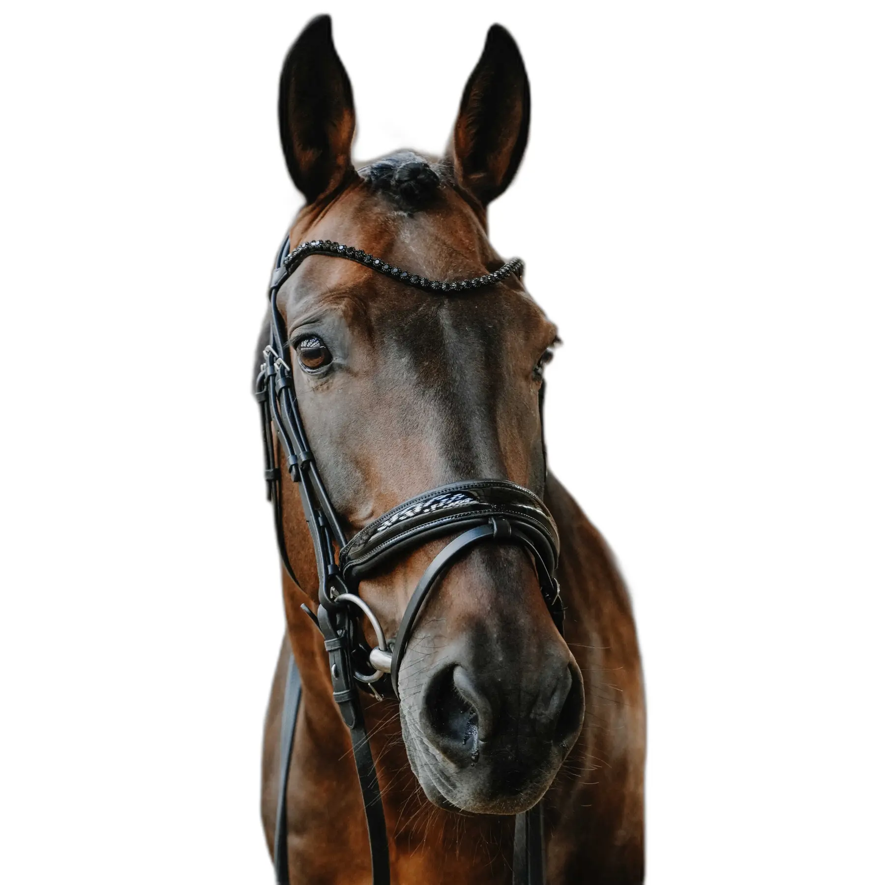 Norton Noir Combined Riding Bridle And Noseband Royal