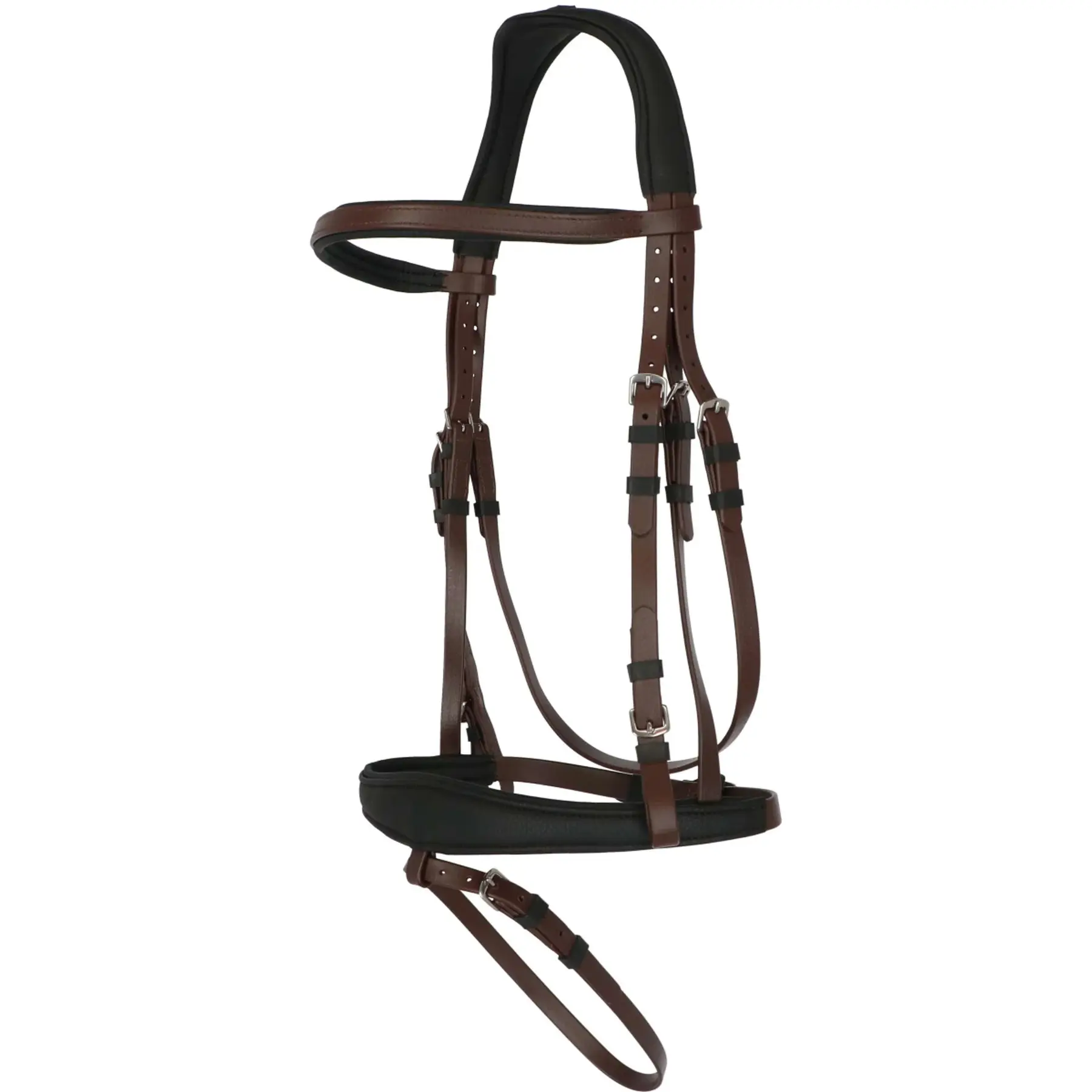 Bridon équitation Norton Pop