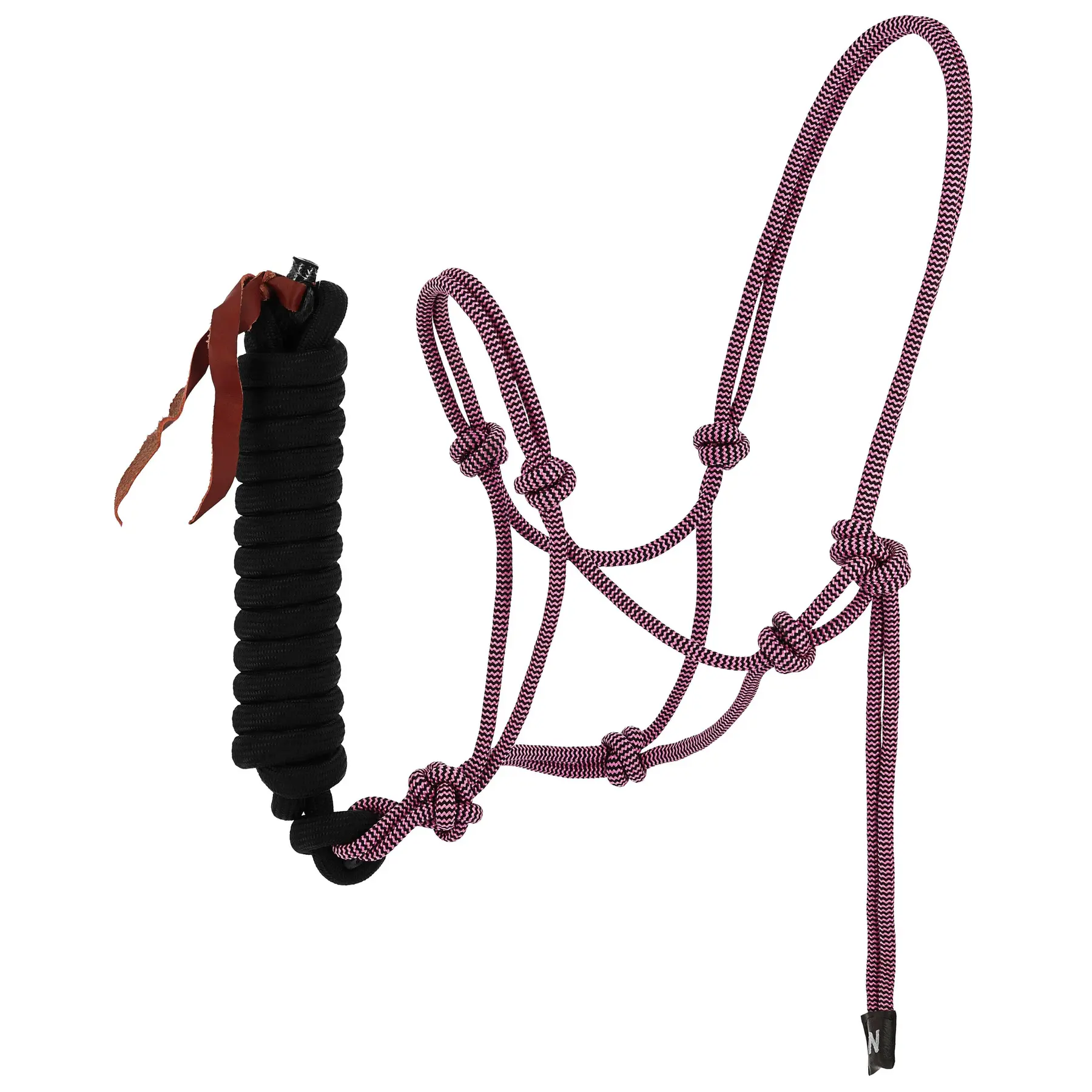 Norton Rose Ethological Halter And Long Line For Horse Duo
