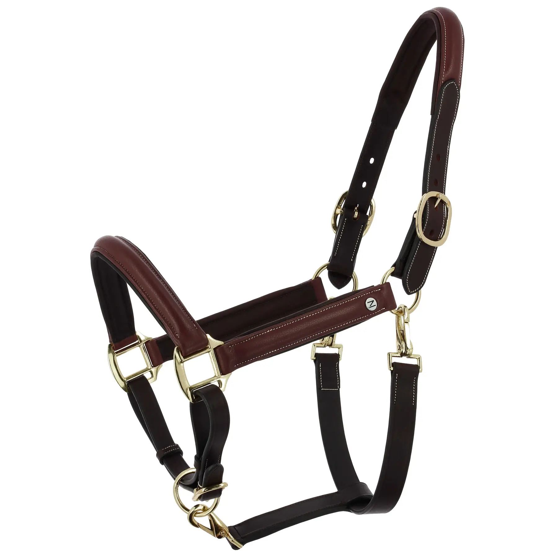 Licol pour cheval Norton Spring
