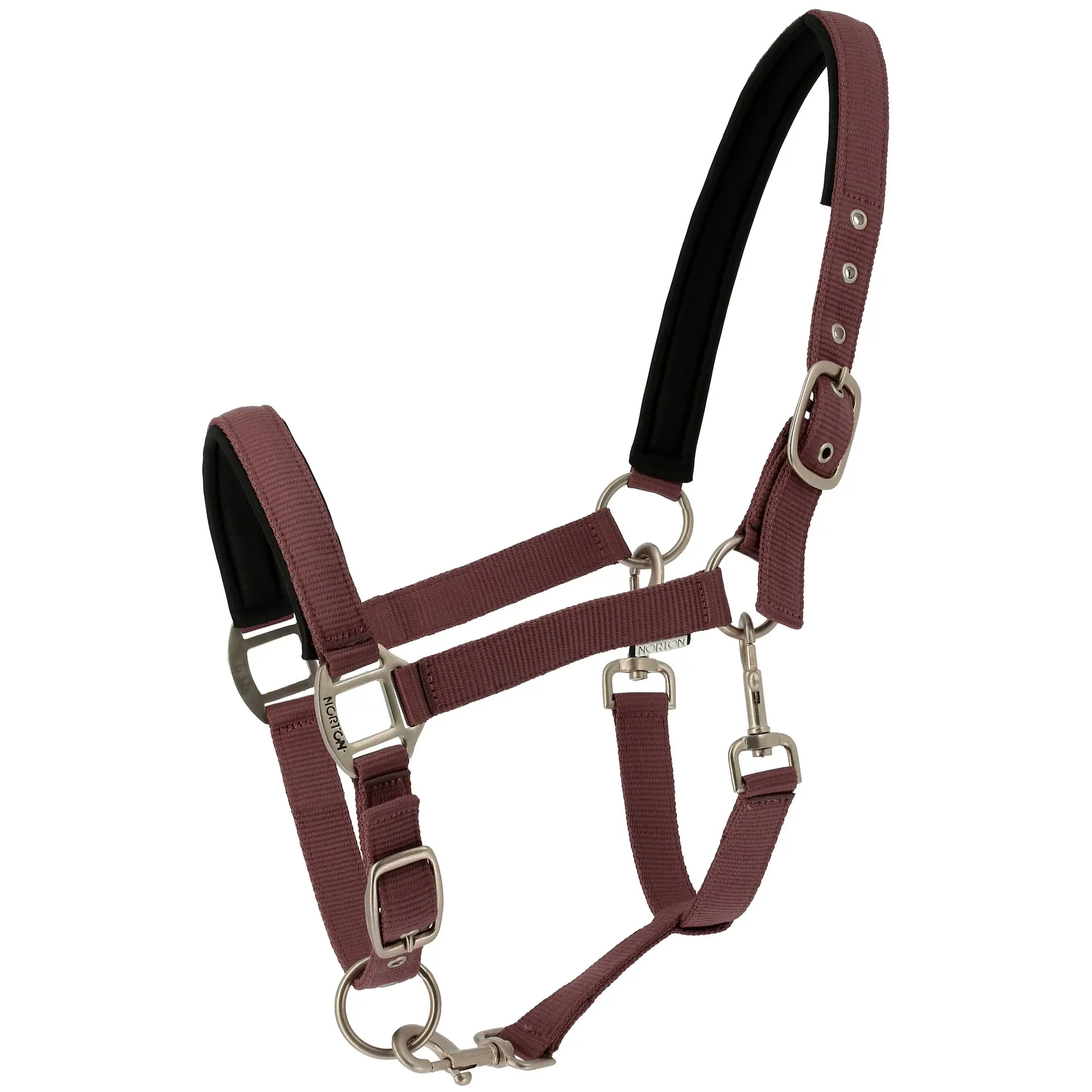 Licol pour cheval Norton Nacre