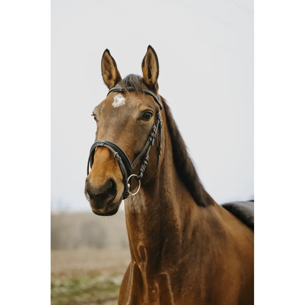 Comparer les prix de Bridon équitation Norton Club Strass V