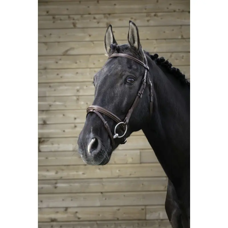 Comparer les prix de Bridons équitation Norton Pro Fin