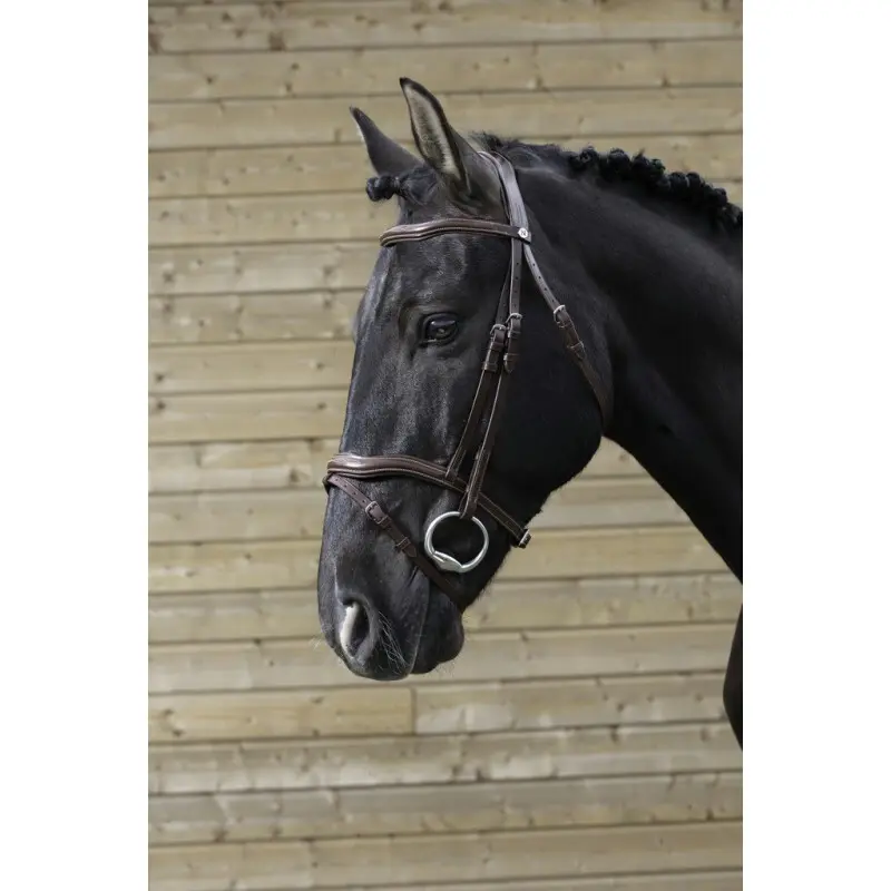 Meilleurs prix pour Bridons équitation découpé Norton Pro